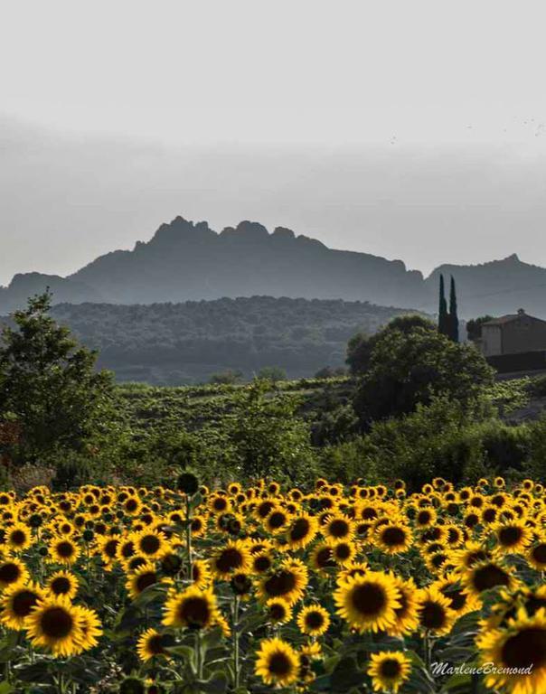 Chambres D'Hotes Aux Tournesols Malaucène Zewnętrze zdjęcie